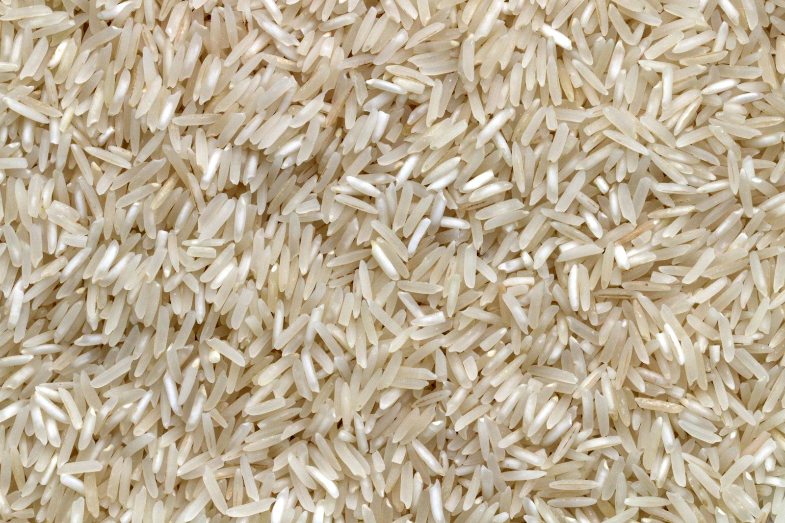Close view of uncooked long-grain basmati rice supplied in bulk